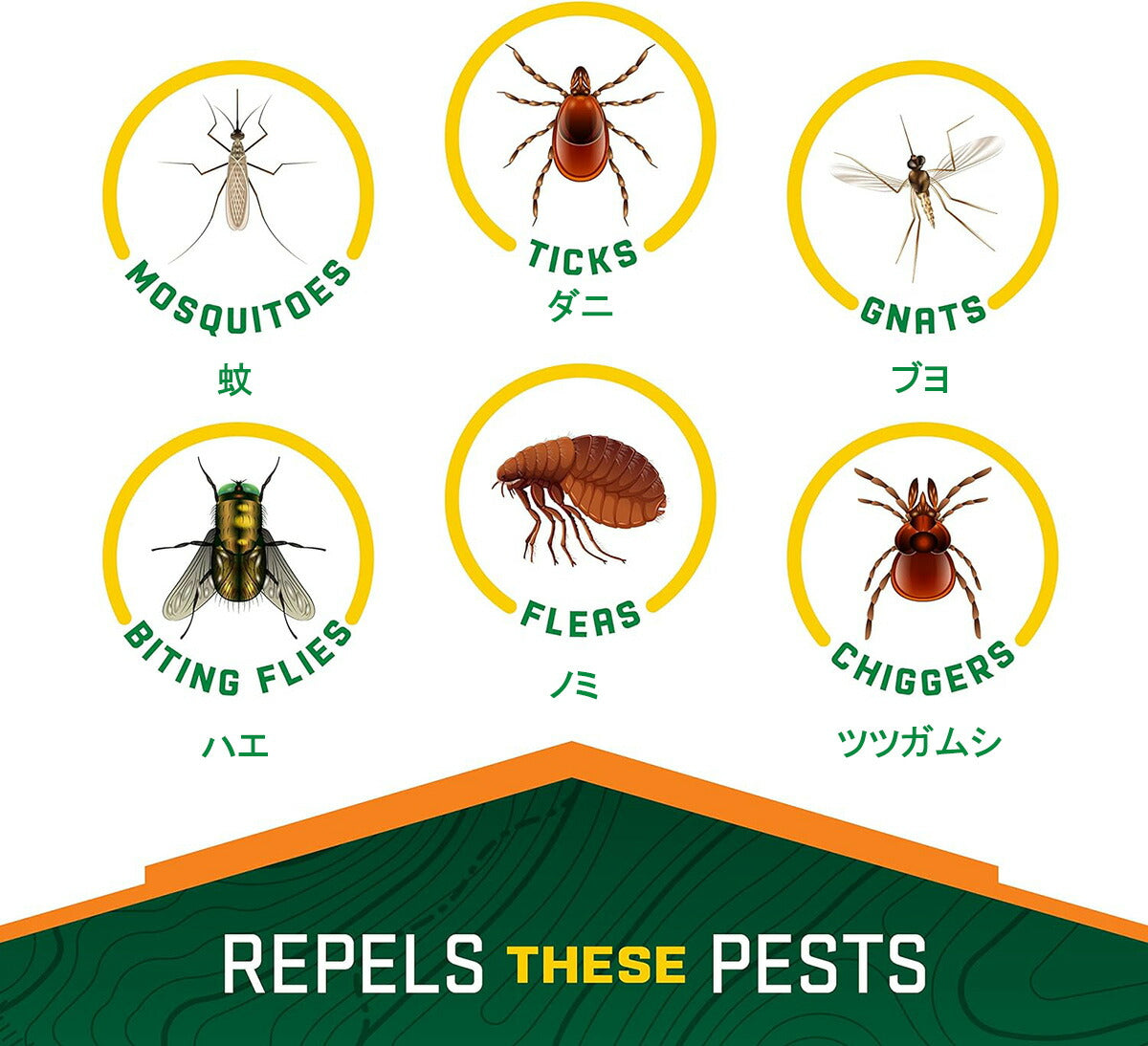 【エクスプレス便】【お得な2個セット】 REPEL100 リペル Insect Repellent Pump Spray 4oz リペル100 118ml(4オンス) 最大10時間 ウルトラソン