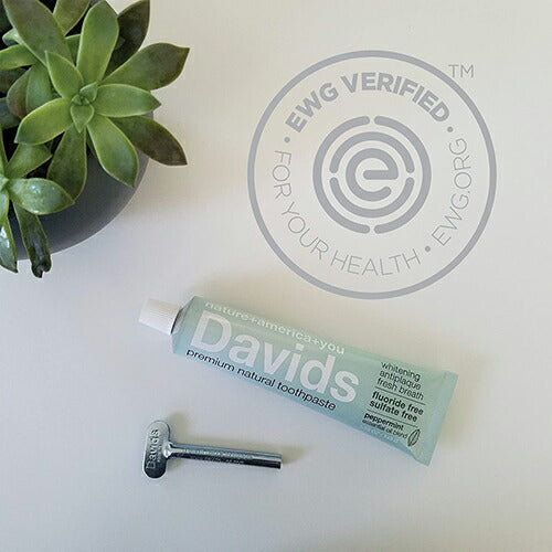 【追跡可能海外メール便】 Davids Natural Toothpaste 140g 歯磨き粉 ホワイトニング フッ素無添加 ミント味