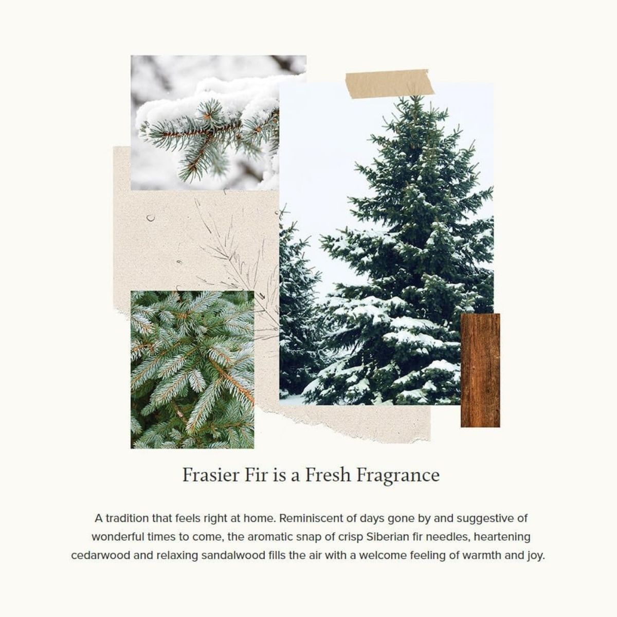 【エクスプレス便】Thymes フレイジャーファー キャンドル グリーン&ホワイト シダーウッド&サンダルウッド  Thymes Frasier Fir Candle Frosted Plaid Collection Green & White Glass Jar Design Cedarwood & Sandalwood 2 oz