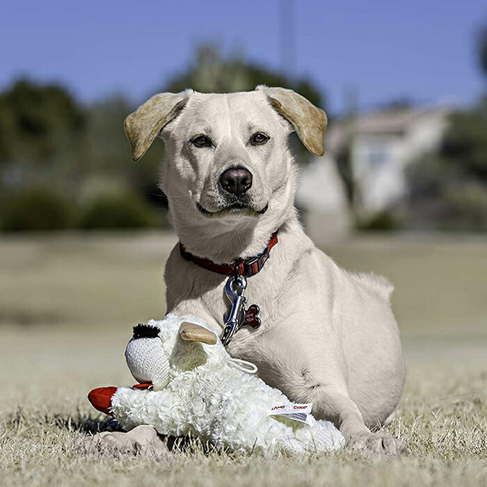 【追跡可能海外メール便】 Multipet Lambchop Plush Dog Toy 10" マルチパペットラムチョップ 約25cm おもちゃ 人形 ペット用 犬 猫
