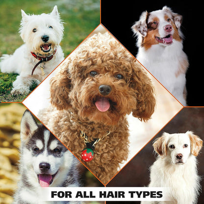 【エクスプレス便】Wahl 4-In-1 Calming Pet Shampoo 24 oz　ラベンダーカモミール　Cleans, Conditions with Lavender Chamomile　犬用シャンプー　アルコールフリー　パラベンフリー　ペット　ペット用品