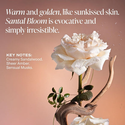 【エクスプレス便】Saltair マルチリピッド ボディバター サンタルブルームの香り  283g Saltair Multi-Lipid Body Butter Santal Bloom 10oz 植物由来 保湿クリーム