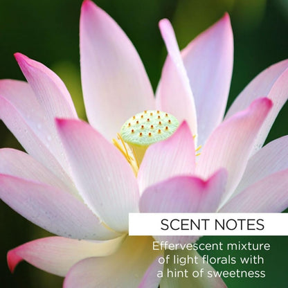 【エクスプレス便】Whish ローズヒップ＆ロータス ミネラルミルクバス Whish ROSE HIP LOTUS MILK BATH 237ml 8 fl oz バスミルク 入浴剤 バスエッセンス