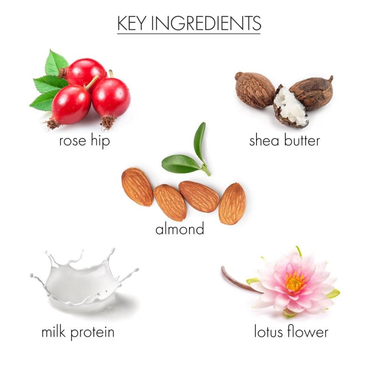 【エクスプレス便】Whish ローズヒップ＆ロータス ミネラルミルクバス Whish ROSE HIP LOTUS MILK BATH 237ml 8 fl oz バスミルク 入浴剤 バスエッセンス