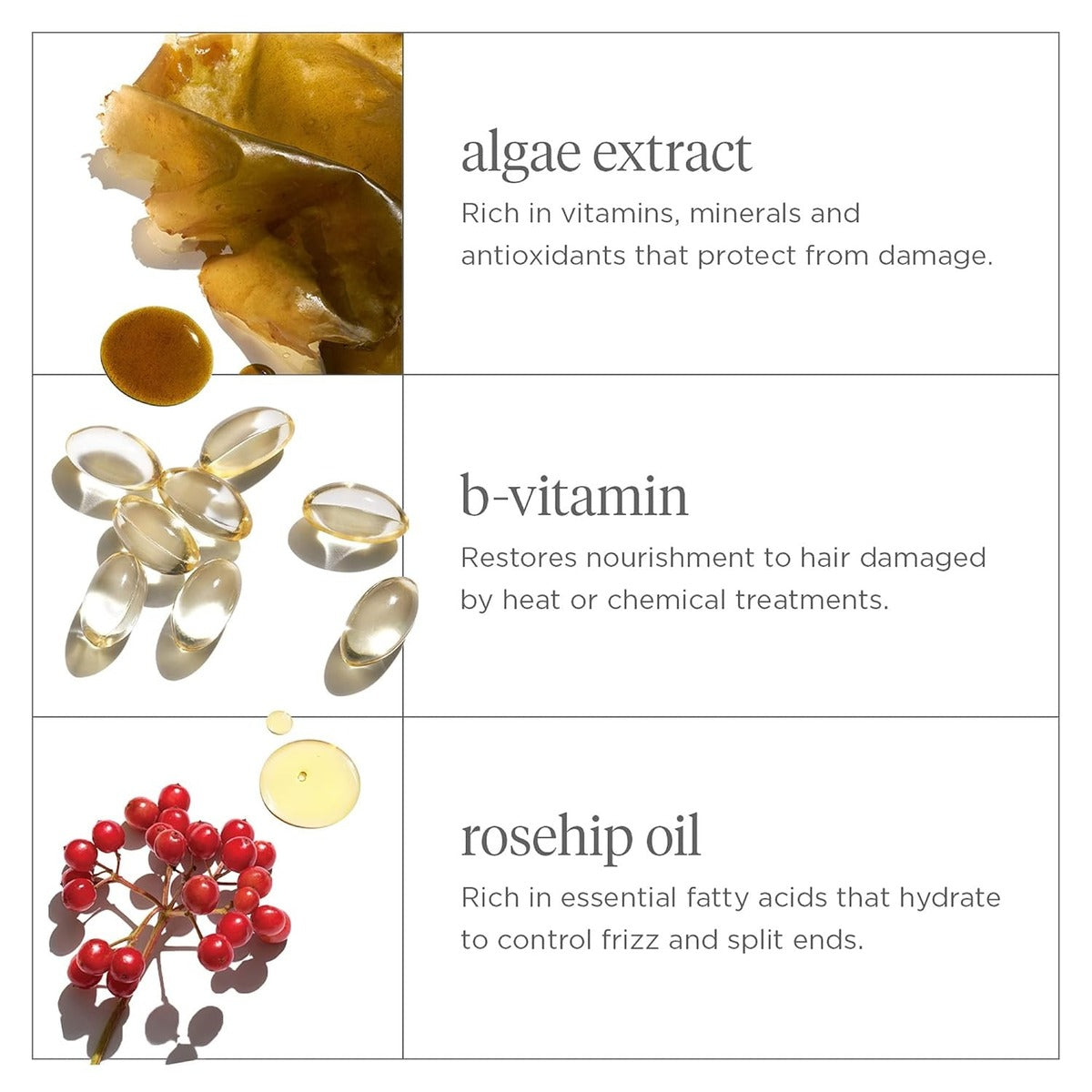 【エクスプレス便】Briogeo ドントディスペア リペア ディープ コンディショニング マスク ブリオジオ Don't Despair, Repair! Deep Conditioning Mask 236ml 集中保湿 乾燥・カラーヘアケア ヴィーガン