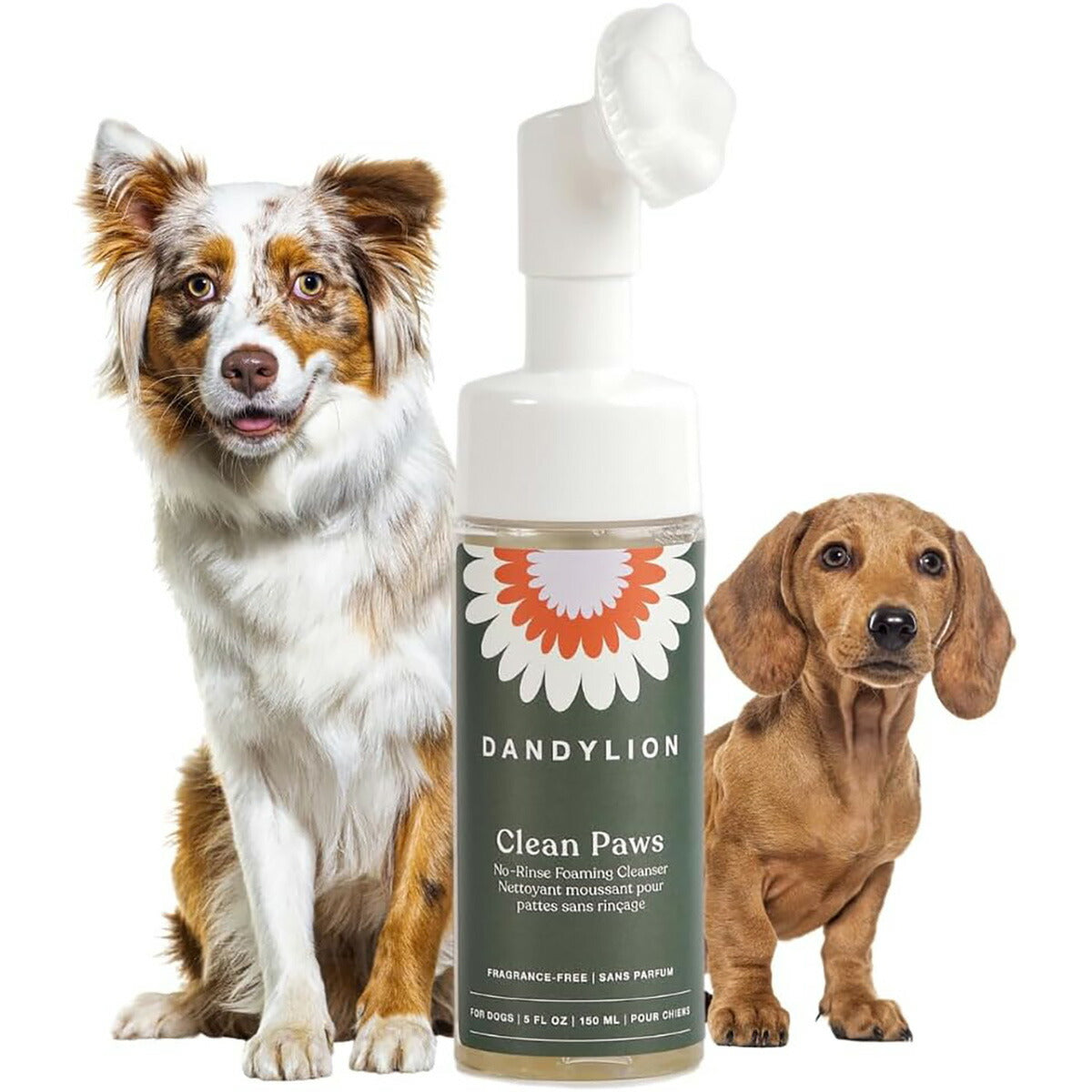 【エクスプレス便】Dandylion ダンデライオン クリーンパウズ　犬用 足洗い 泡ウォーター・洗い流し不要 パウクリーナー 148mL（5 fl oz） Clean Paws | No-Rinse Dog Paw Cleaner & Puppy Paw Washer