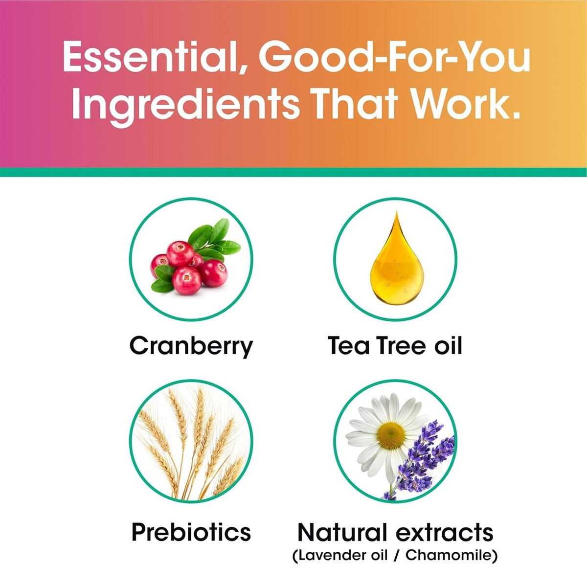 【エクスプレス便】vH essentials デイリー フェミニンウォッシュ ティーツリーオイル＆プレバイオティクス ブイエイチ エッセンシャルズ Feminine Wash pH Balanced 177ml デリケートゾーンケア ソープ pHバランス