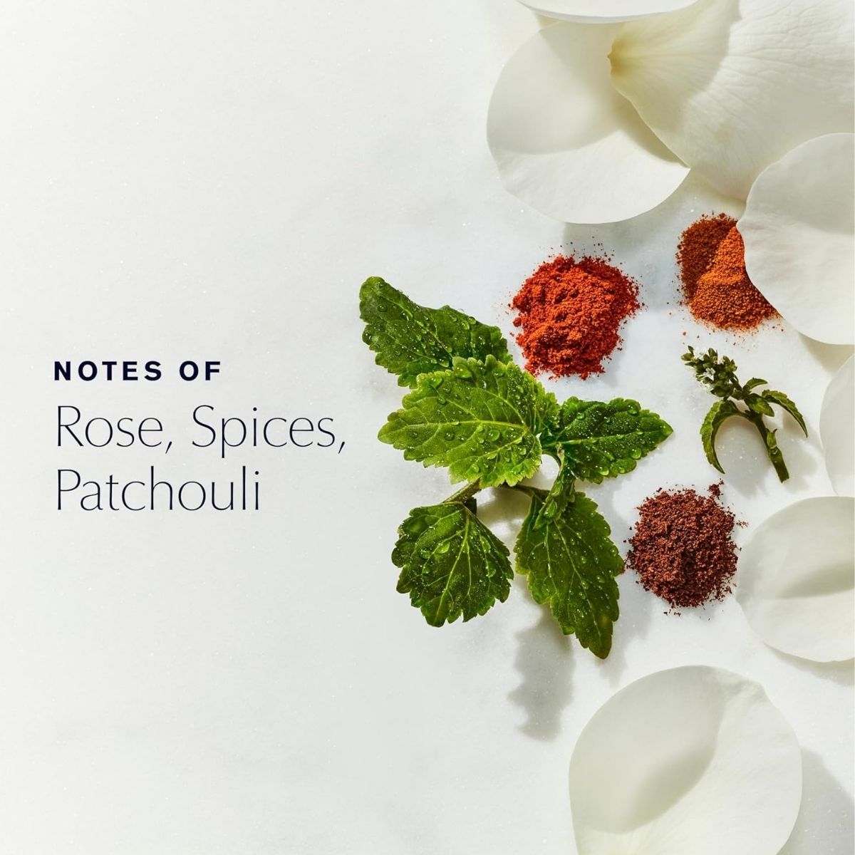 【エクスプレス便】エスティ ローダー エスティ ローダー ユース デュー バスオイル 60ml  Est?e Lauder Youth-Dew Bath Oil with Notes of Rose Spices & Patchouli 2.0 Fl Oz 入浴剤 バスエッセンス ローズ スパイスの香り