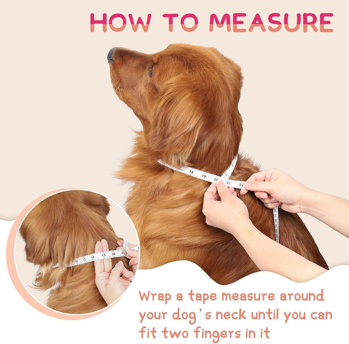 【エクスプレス便】Supet スーペット インフレータブル ドッグコーン カラー Supet Inflatable Dog Cone Collar 犬・猫用 ソフトエリザベスカラー 術後ケア ネックドーナツタイプ