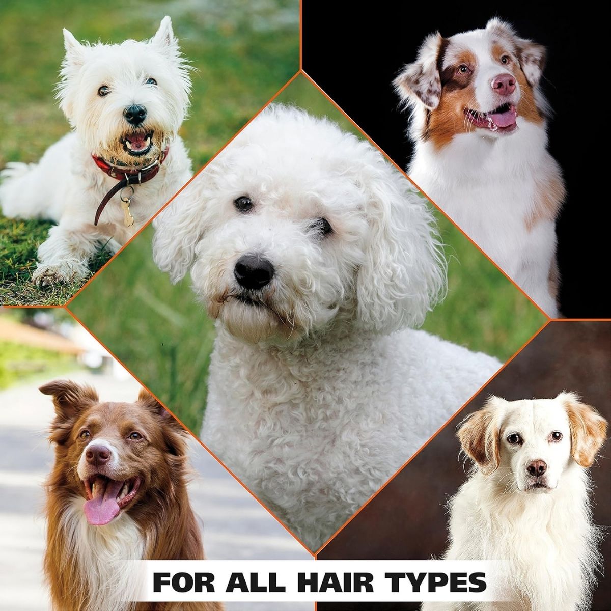 【エクスプレス便】Wahl ホワイトニング ペットシャンプー ホワイトペアの香り 710mL Wahl USA Whitening Shampoo for Pets White Pear Scent Whitening & Odor Control 24 oz 犬用 臭いケア くすみケア ペット シャンプー