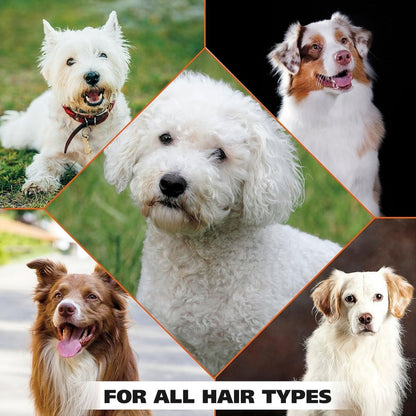 【エクスプレス便】Wahl ホワイトニング ペットシャンプー ホワイトペアの香り 710mL Wahl USA Whitening Shampoo for Pets White Pear Scent Whitening & Odor Control 24 oz 犬用 臭いケア くすみケア ペット シャンプー
