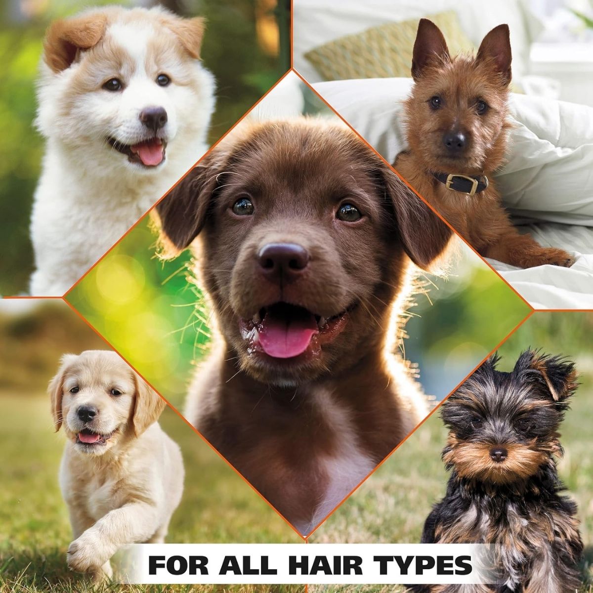 【エクスプレス便】Wahl 子犬用ペットシャンプー コーンフラワーの香り 710mL Wahl USA Gentle Puppy Shampoo for Pets Cornflower Scent for Grooming Dirty Dogs 24 oz 犬用 臭いケア 敏感肌 デリケート ペット シャンプー
