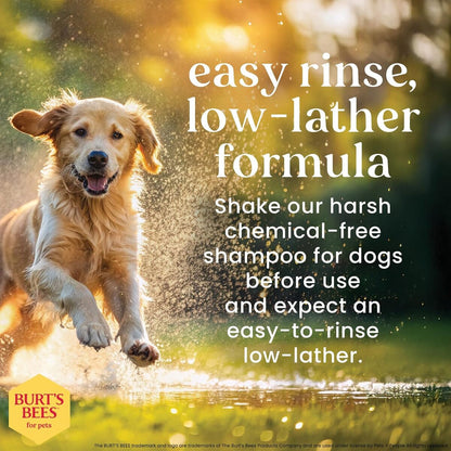 【エクスプレス便】Burt’s Bees フォー ペッツ オートミールドッグシャンプー バーツビーズ for Pets Oatmeal Dog Shampoo 16oz/473ml はちみつ配合 犬 低刺激 シャンプー