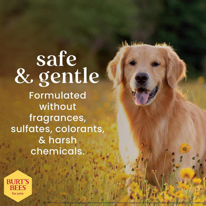 【エクスプレス便】Burt’s Bees フォー ペッツ オートミールドッグシャンプー バーツビーズ for Pets Oatmeal Dog Shampoo 16oz/473ml はちみつ配合 犬 低刺激 シャンプー