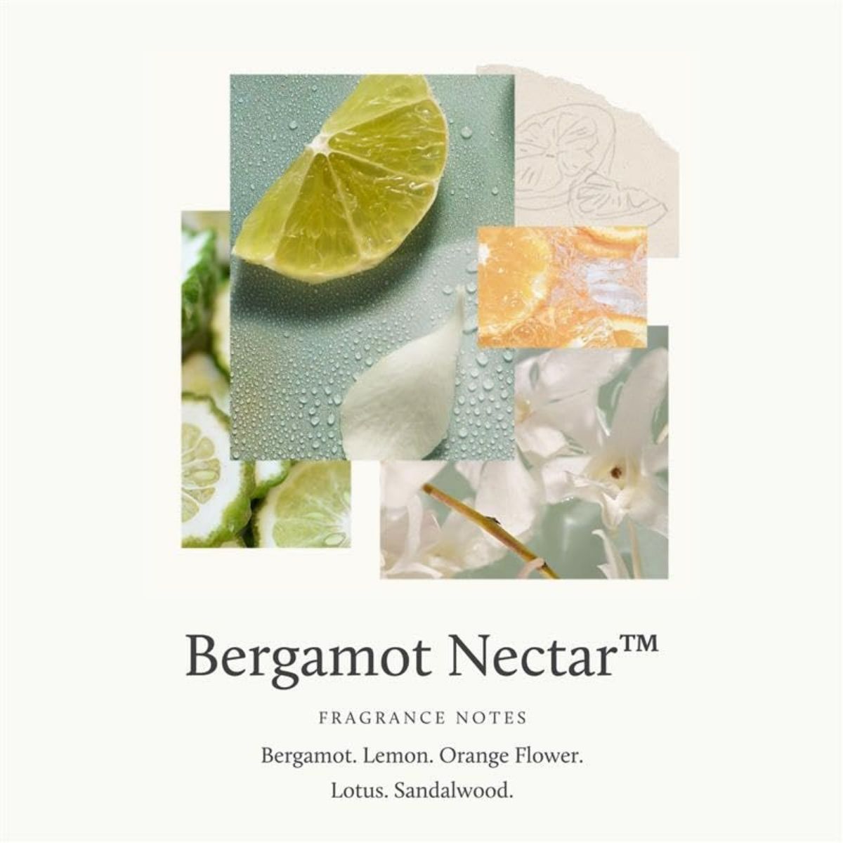 【エクスプレス便】Thymes ナリッシング ボディクレンザー 473ml （ベルガモットネクター）Thymes Nourishing Body Cleanser (Bergamot Nectar 16 fl oz) シトラス サンダルウッド ボディウォッシュ
