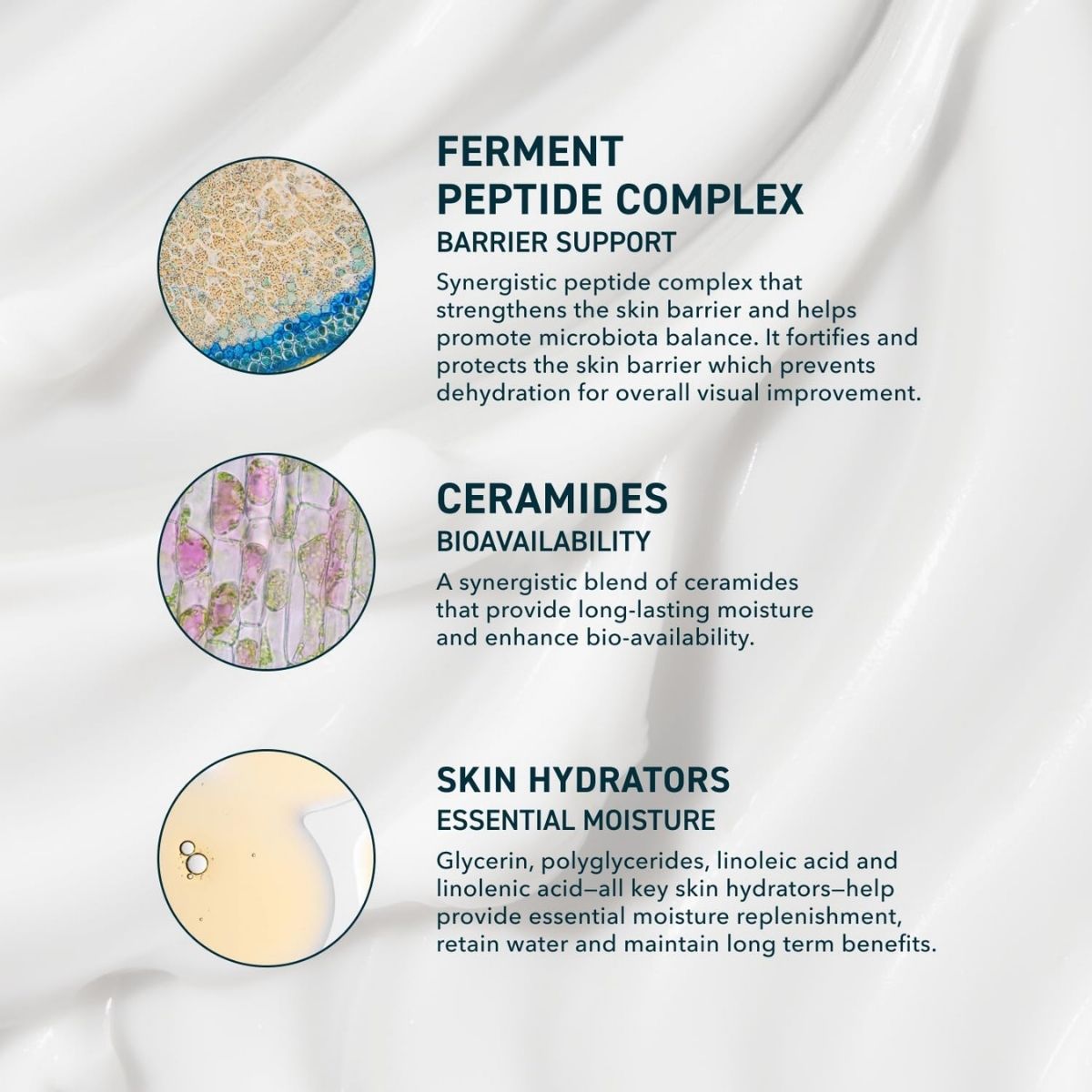 【エクスプレス便】Prequel Skin スキン AM/PM モダン モイスチャライザー 60mL Prequel Skin AM/PM Modern Moisturizer 2 fl oz  ペプチド配合 保湿クリーム
